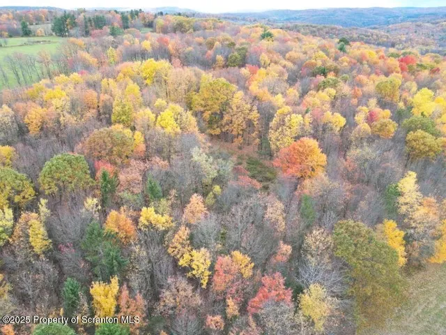 a close up of a flower in a garden