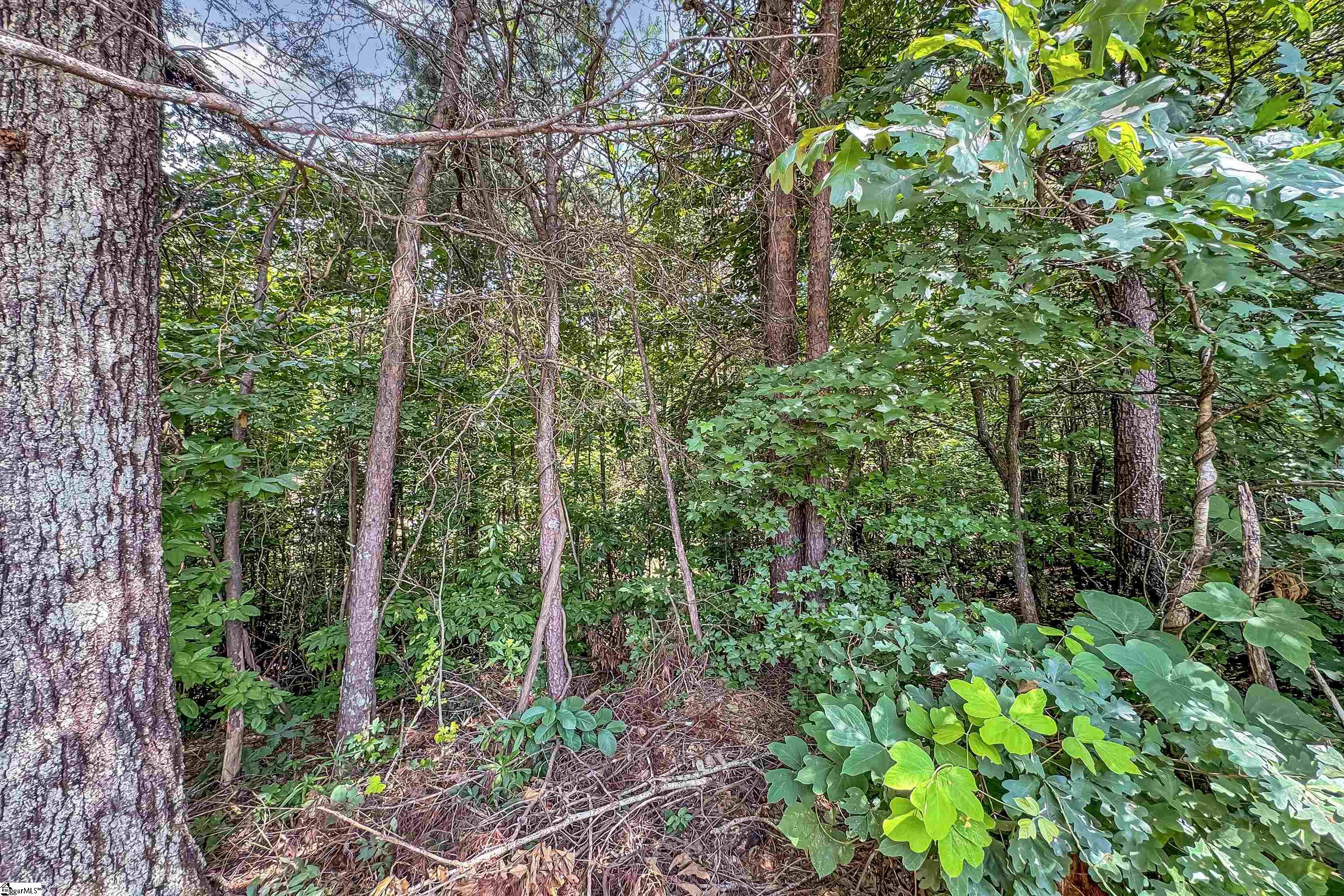 204 Rivers Edge Drive Easley, SC 29642 - Photo 19 of 33 Gallery Image 19