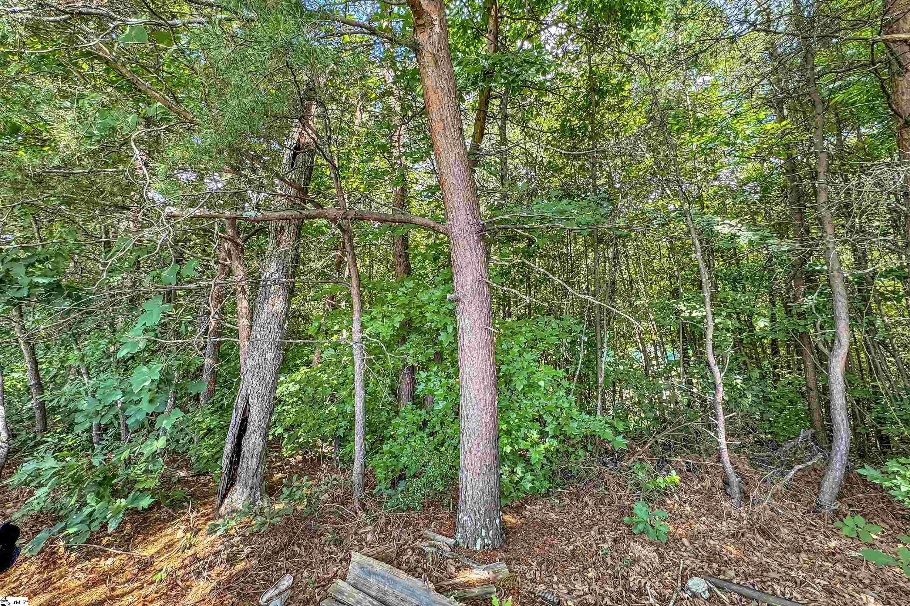 204 Rivers Edge Drive Easley, SC 29642 - Photo 21 of 33 Gallery Image 21