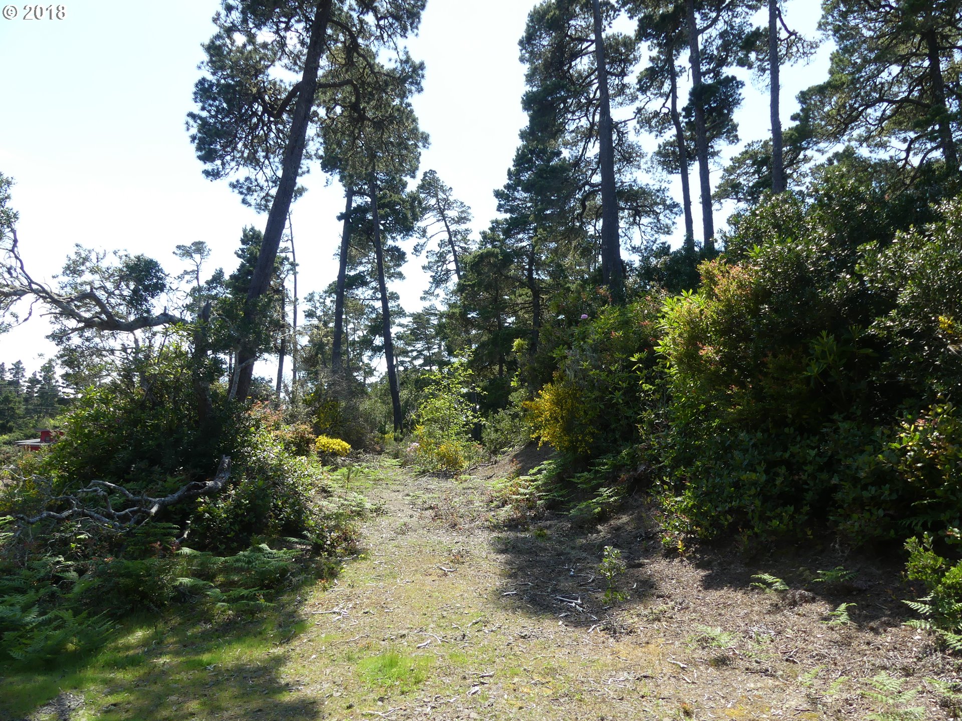 Heceta Beach Road, Unit 603 Florence, OR 97439 - Photo 1 of 10 Gallery Image 1