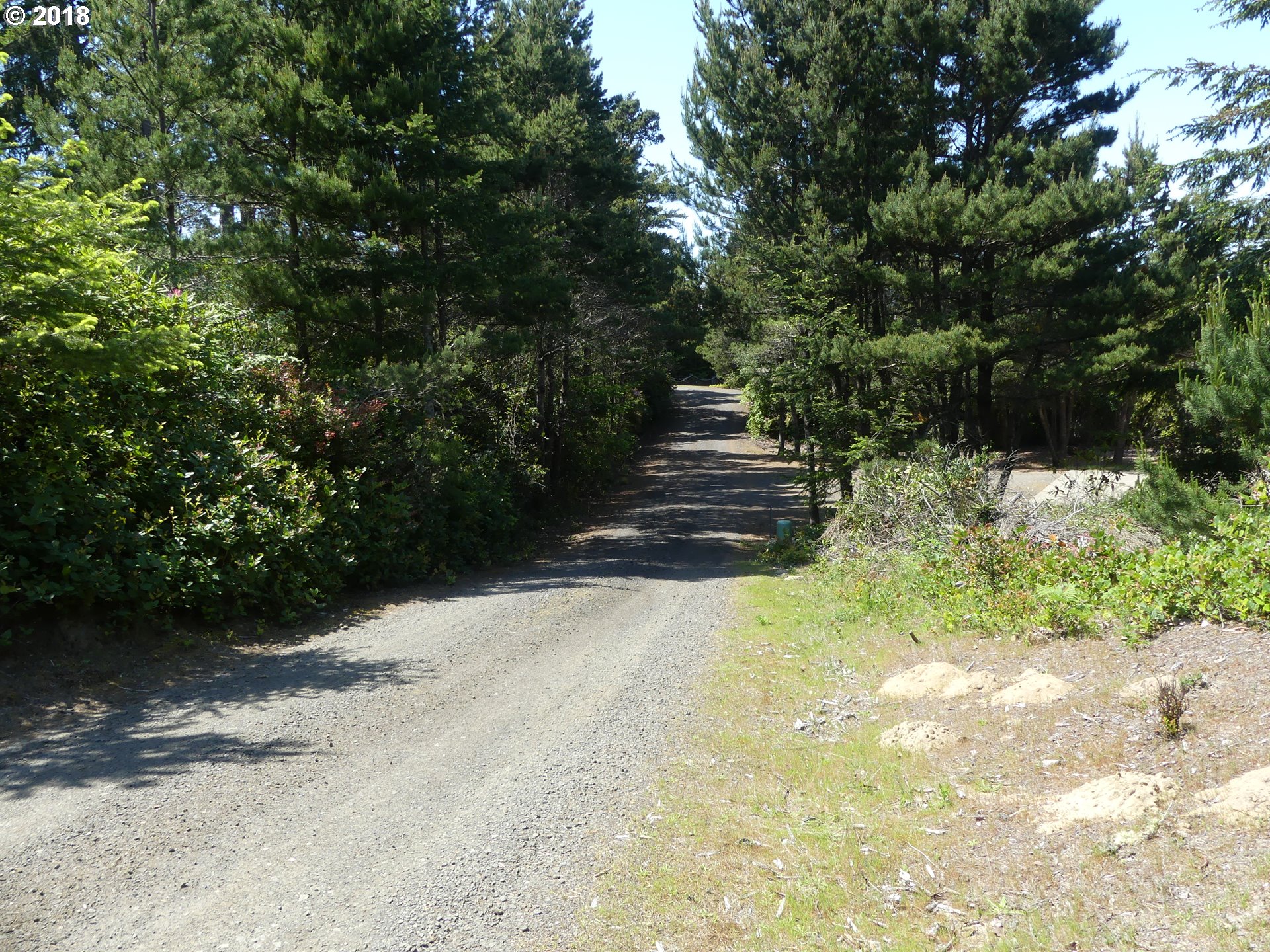 Heceta Beach Road, Unit 603 Florence, OR 97439 - Photo 6 of 10 Gallery Image 6