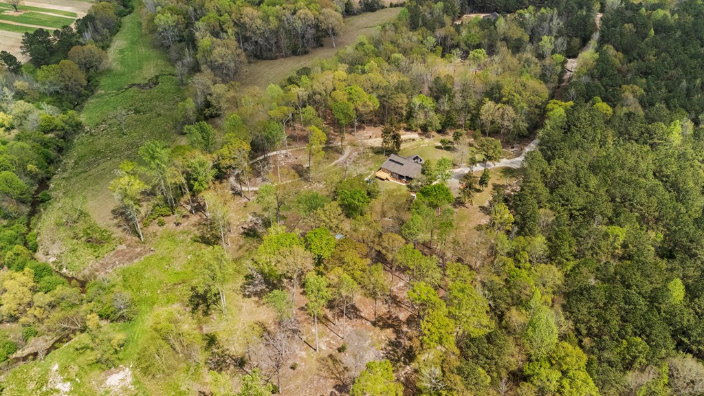 1588 Ridgeway Road Waverly Hall, GA 31831 - Photo 24 of 28
