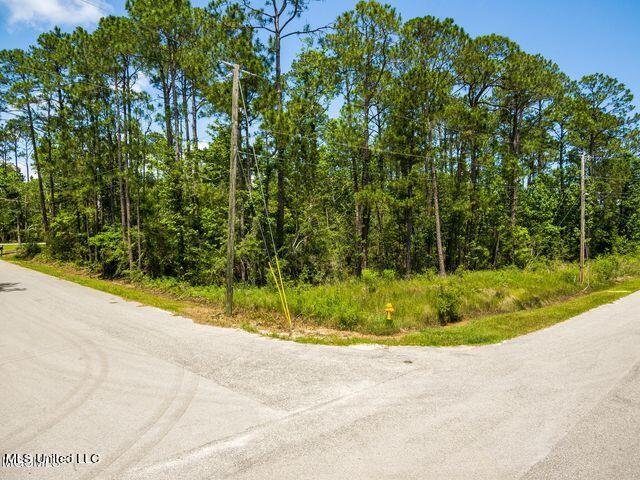 Lot 17 Orange Street Pass Christian, MS 39571 - Photo 3 of 5 orange3