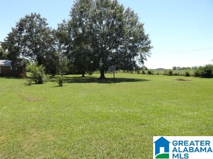 168 Jay Street Cleveland, AL 35049 - Photo 41 of 46