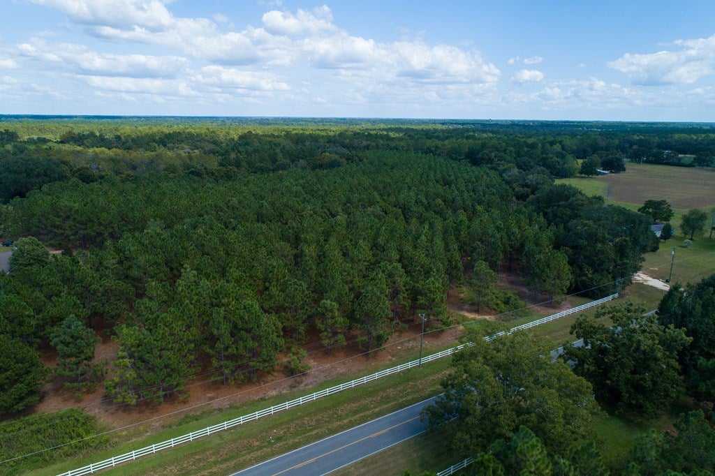 0 Shiloh Road Hahira, GA 31632 - Photo 4 of 8 Gallery Image 4