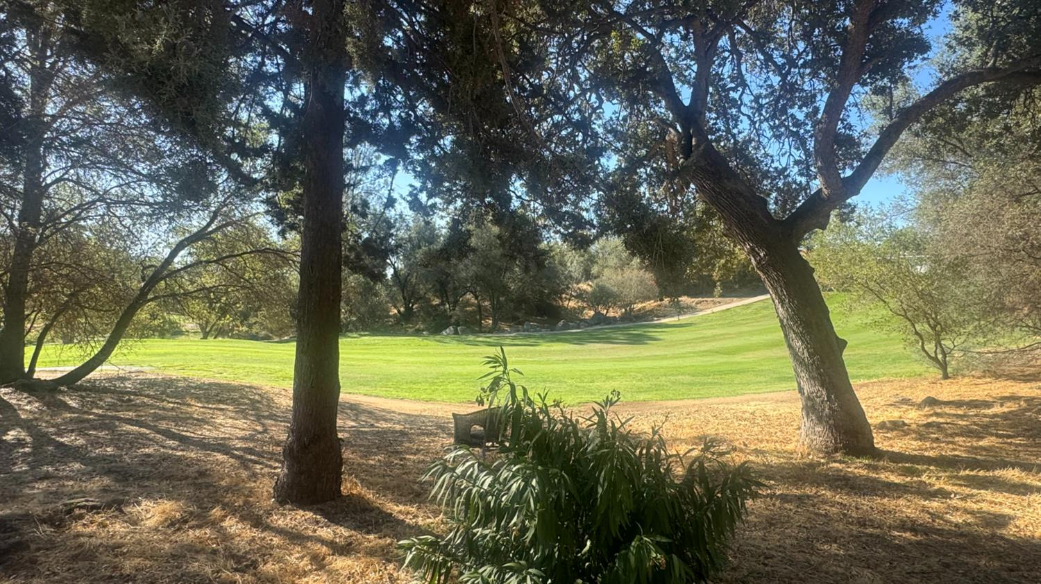 31160 Revis Road Coarsegold, CA 93614 - Photo 4 of 15 a view of a yard with a tree