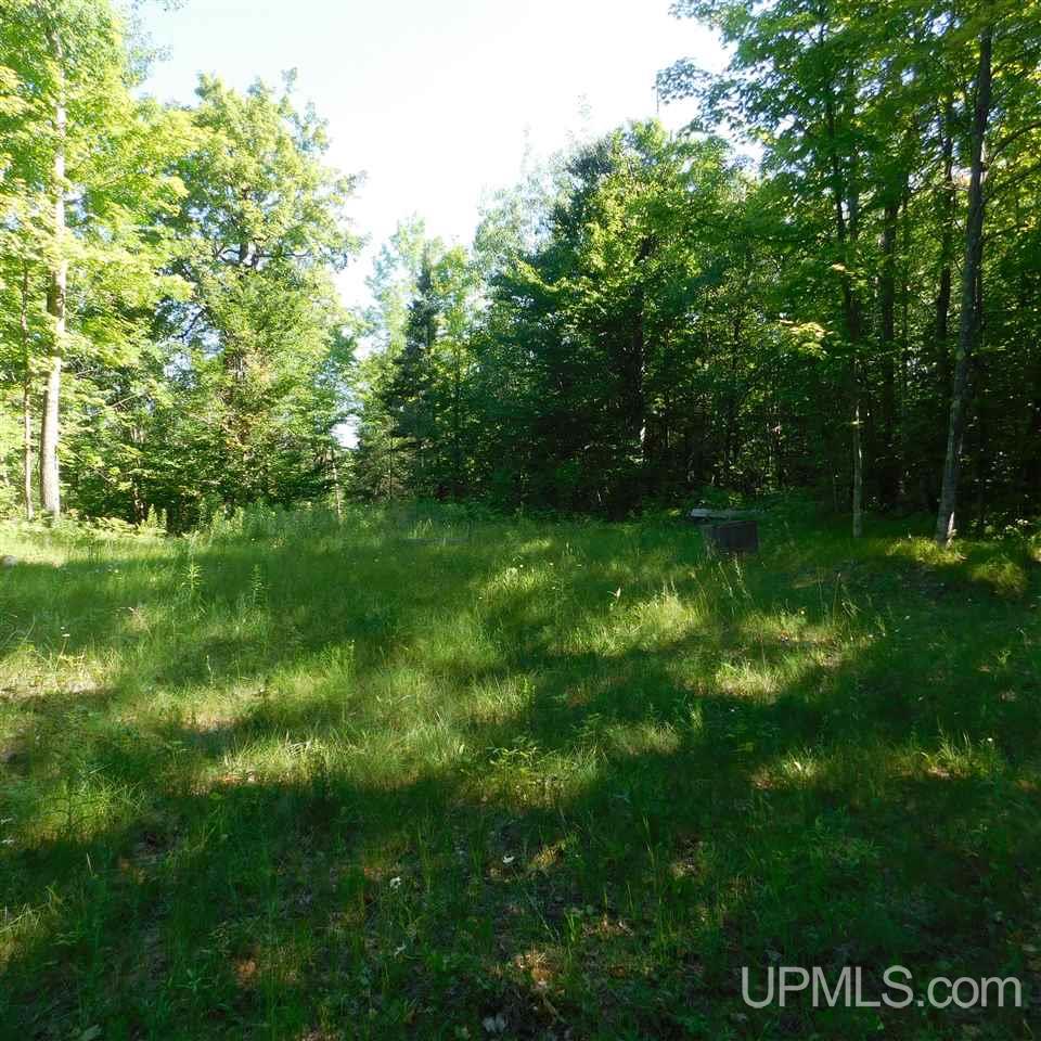 Tbd Tbd Off Fox Farm Road Hermansville, MI 49847 - Photo 11 of 12
