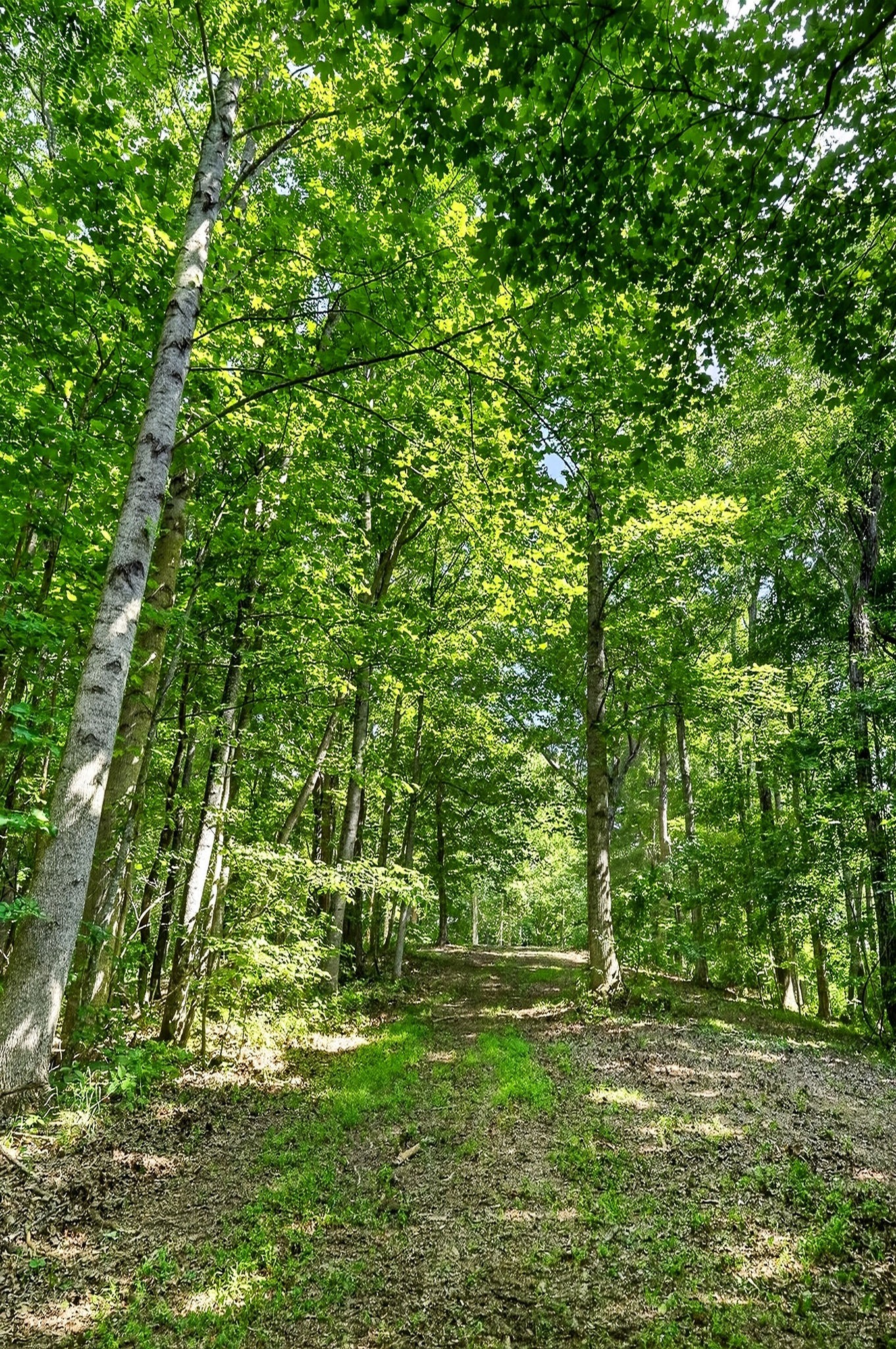 2926 Bryant Ridge Road Baxter, TN 38544 - Photo 36 of 64