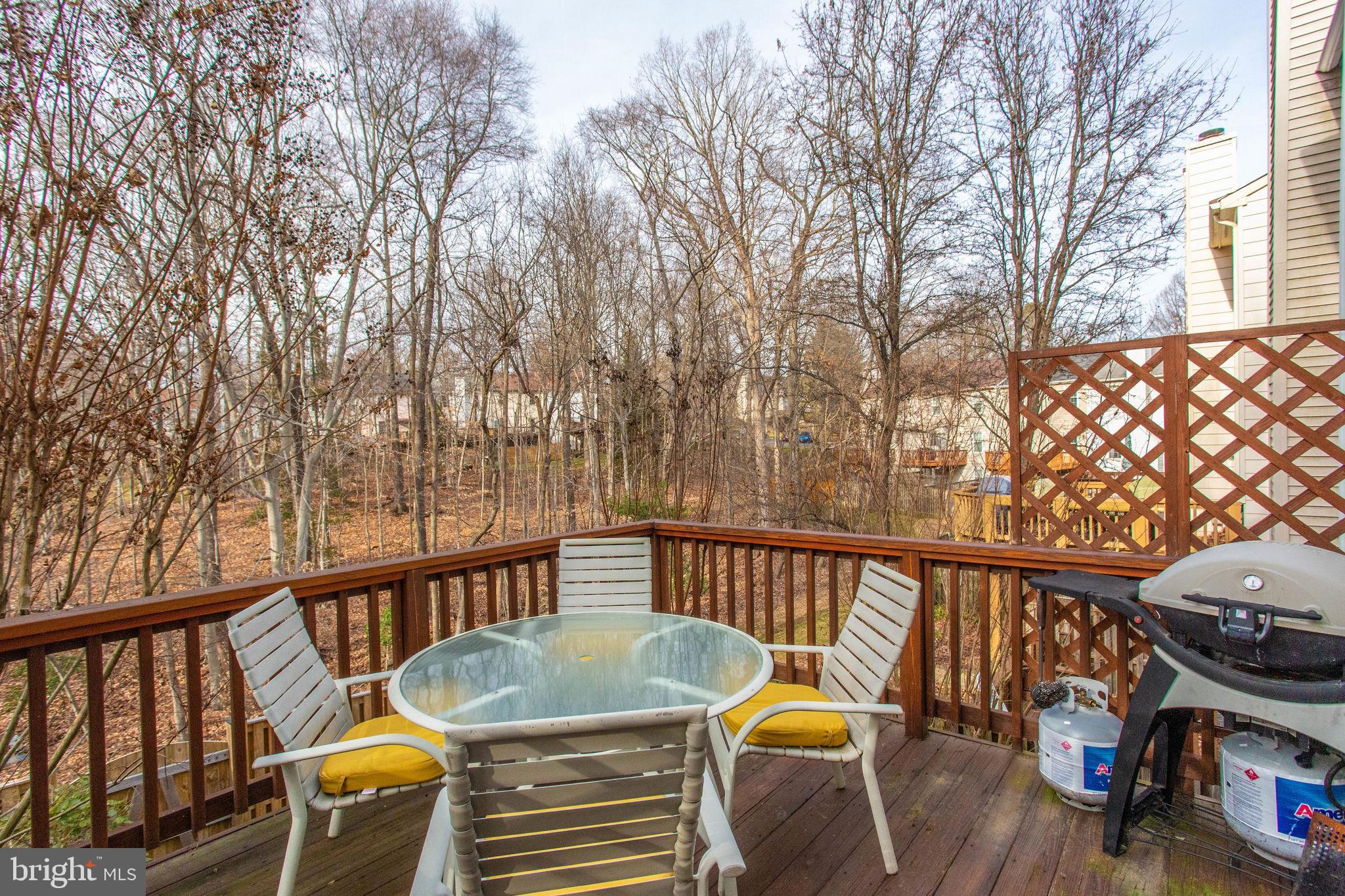 7416 Spring Tree Drive Springfield, VA 22153 - Photo 15 of 53 Fire up the grill, time for you to play host!