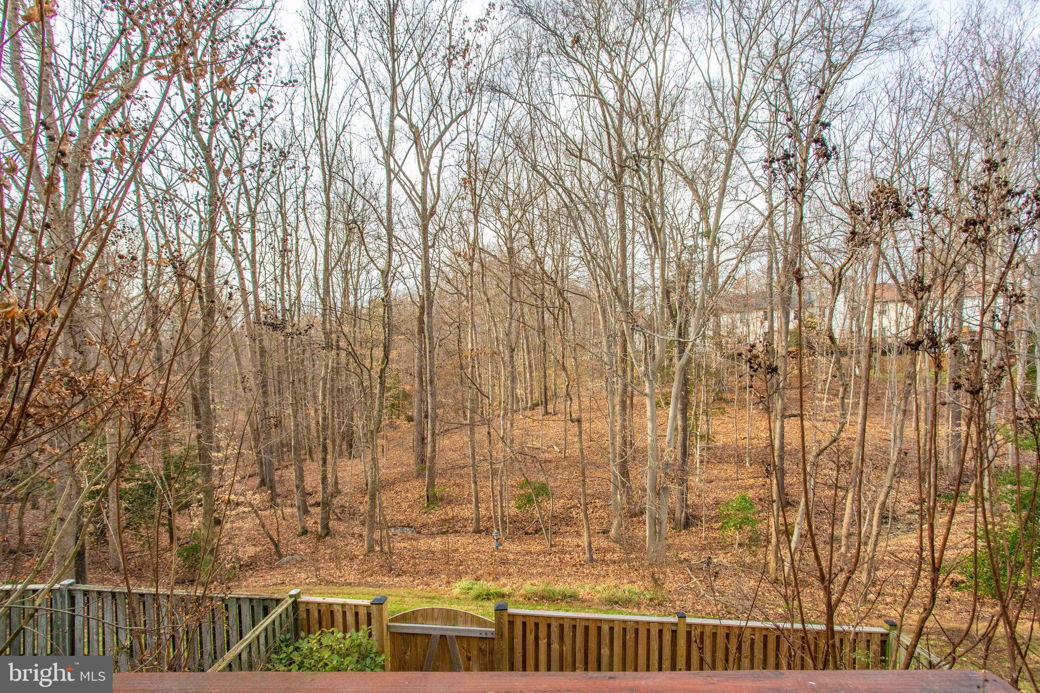 7416 Spring Tree Drive Springfield, VA 22153 - Photo 17 of 53 Love this view!