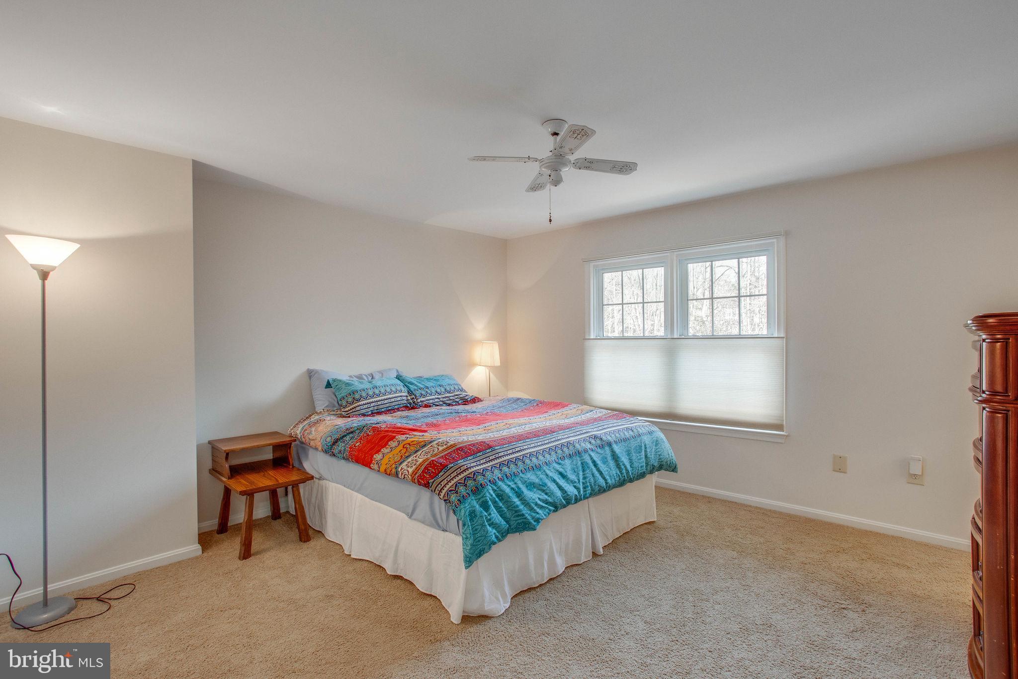 7416 Spring Tree Drive Springfield, VA 22153 - Photo 28 of 53 Master bedroom