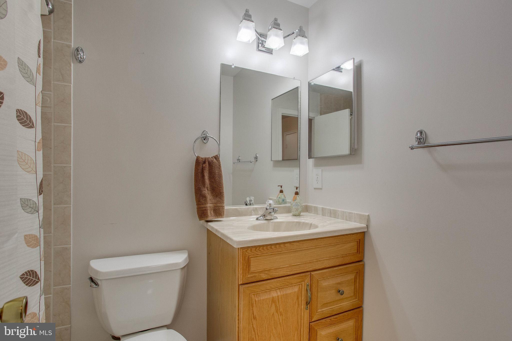 7416 Spring Tree Drive Springfield, VA 22153 - Photo 37 of 53 Hall bath