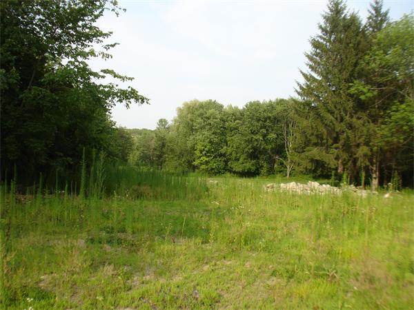 Lot 1 Flagg Road Westford, MA 01886 - Photo 5 of 12 Gallery Image 5