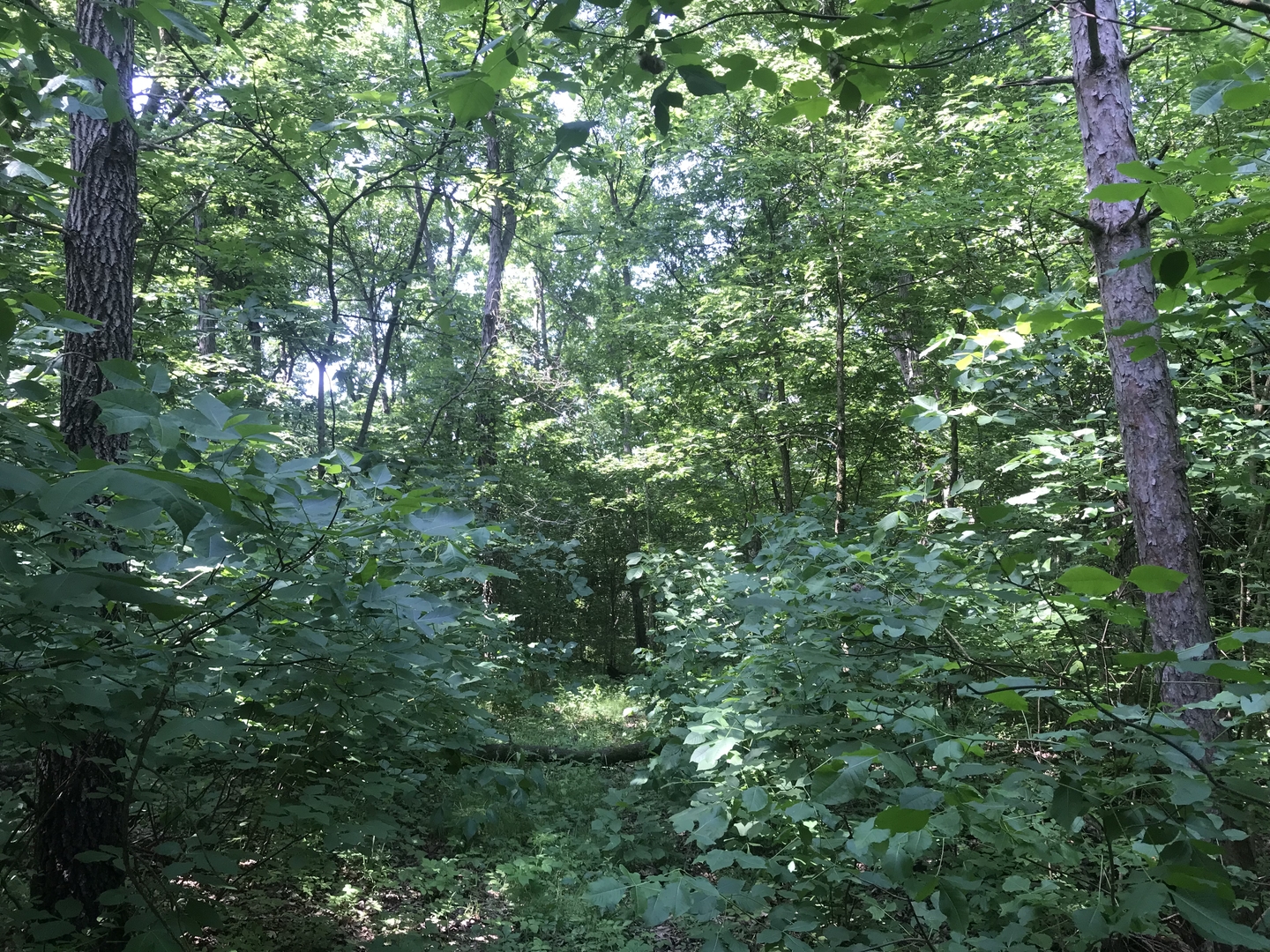 0 Razorville Road Byron, IL 61010 - Photo 1 of 1