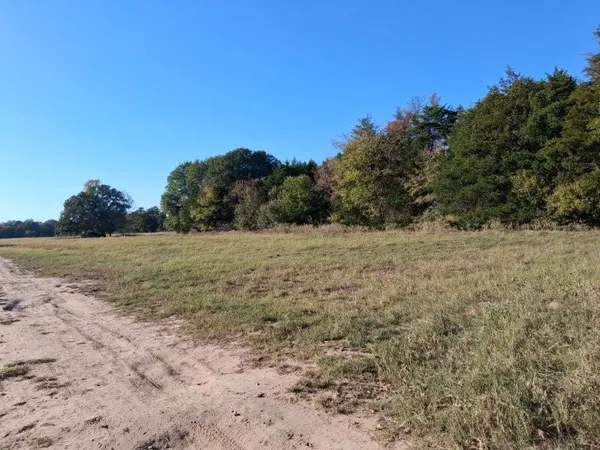 a view of a field with a tree in the background