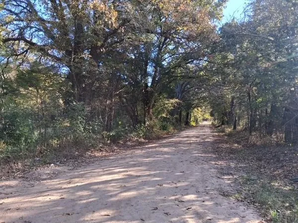 a view of outdoor space with trees