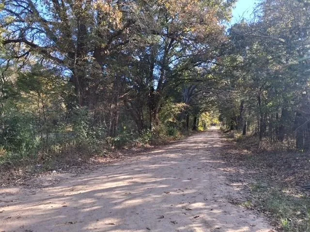 a view of outdoor space with trees