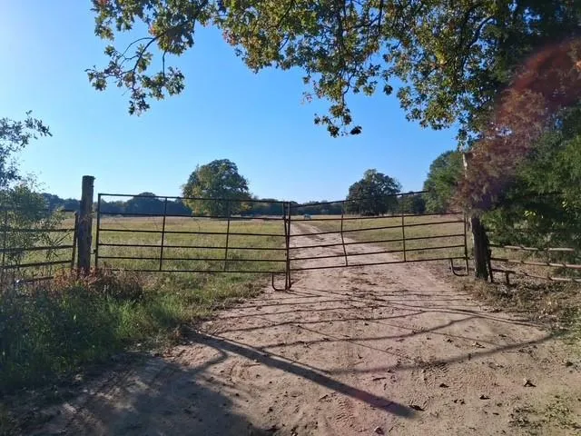 a view of a yard with wooden fence