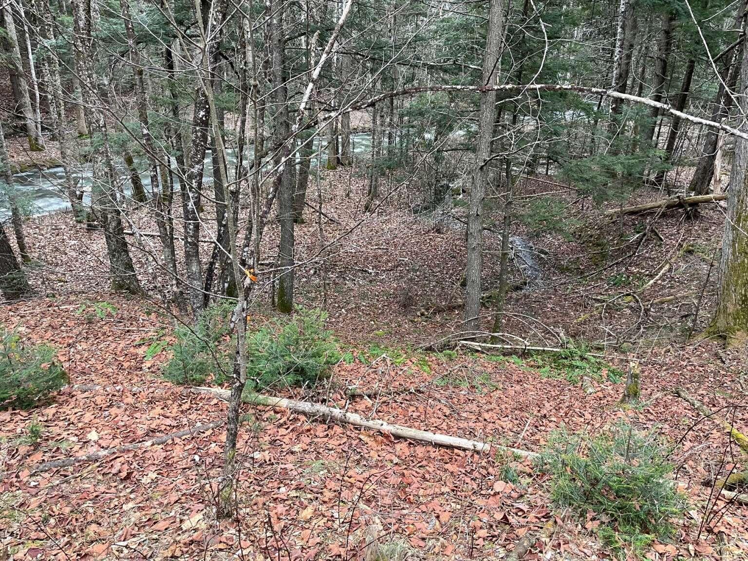 0 Meredith Drive Windham, ME 04062 - Photo 2 of 5 Gorelov.2