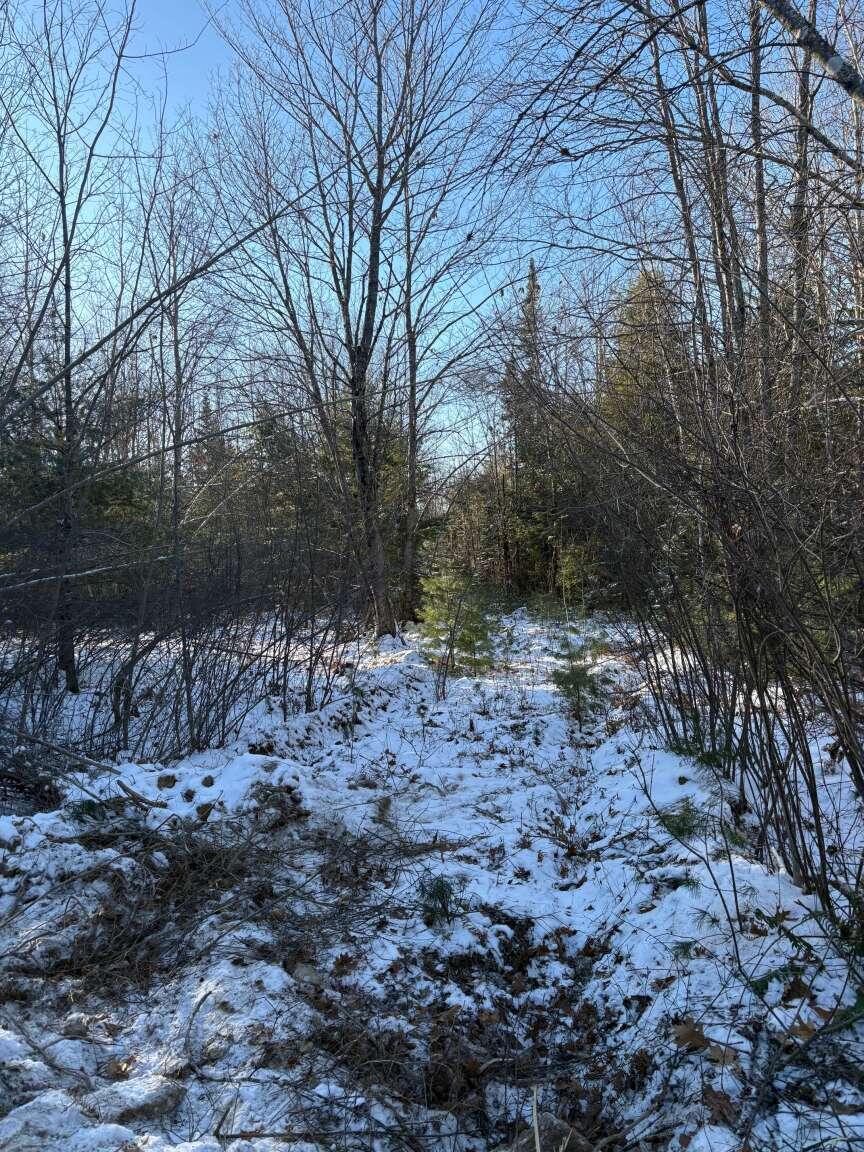 0 Meredith Drive Windham, ME 04062 - Photo 4 of 5 Gorelov.4