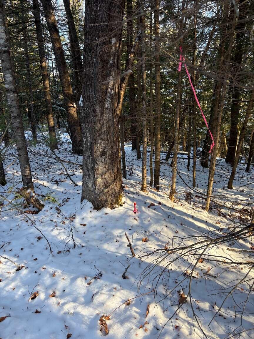0 Meredith Drive Windham, ME 04062 - Photo 5 of 5 Gorelov.5