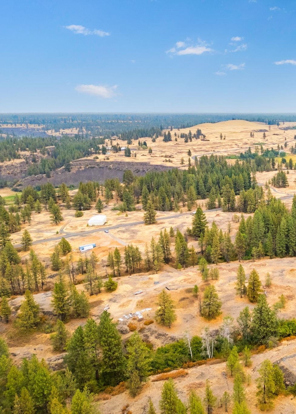 17700-blk West Williams Lake Road Cheney, WA 99004 - Photo 3 of 21 Gallery Image 3
