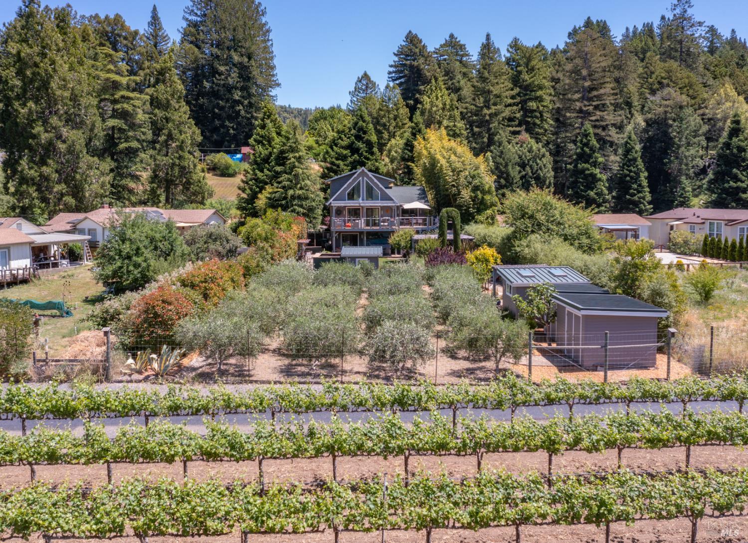 16548 Laughlin Road Guerneville, CA 95446 - Photo 93 of 99