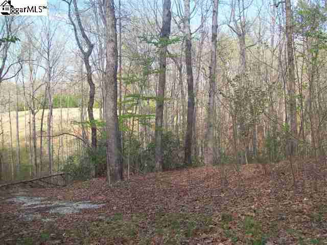 8 River Ridge Road Marietta, SC 29661 - Photo 2 of 2