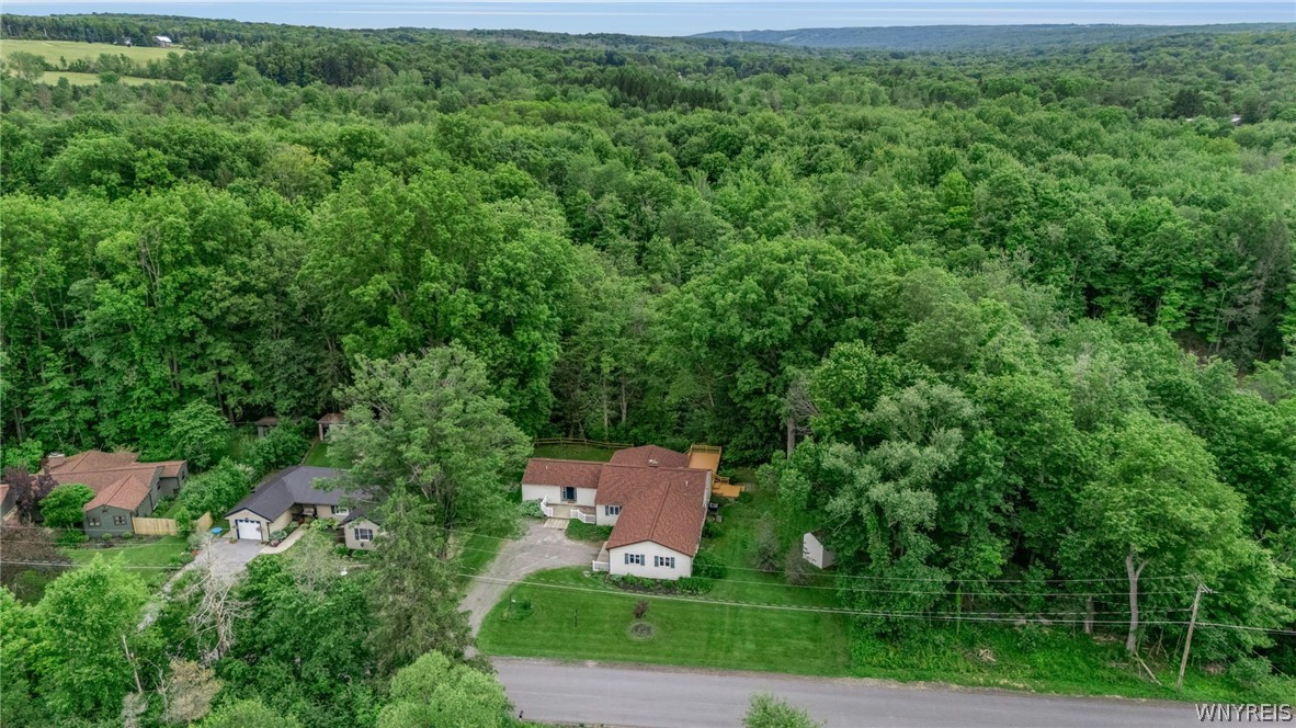 997 Sweet Road East Aurora, NY 14052 - Photo 3 of 50