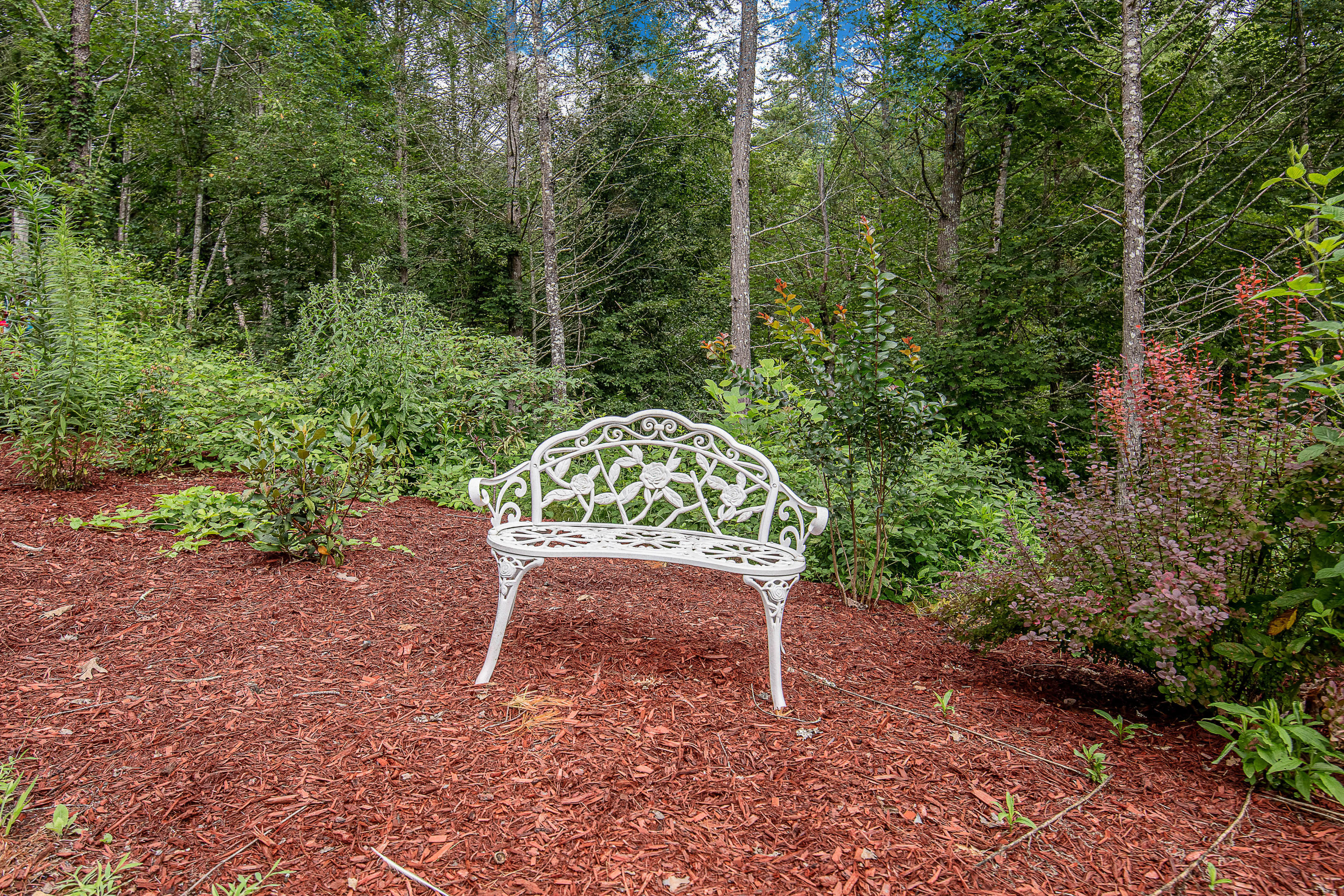 918 Stinnett Ridge Road Cosby, TN 37722 - Photo 11 of 15 5D3_3328-HDR