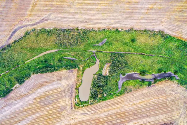 a view of a garden from a floor