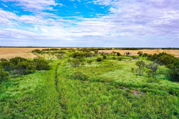 a view of an outdoor space and a yard