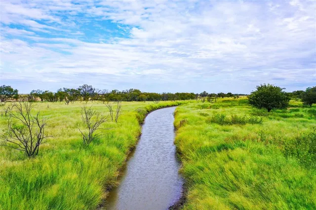 a view of a lake with a garden