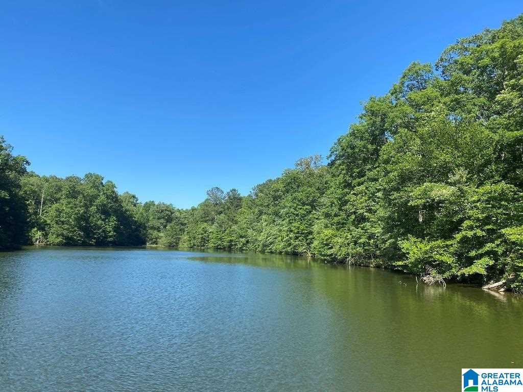 99 County Road, Unit 39 Wedowee, AL 36278 - Photo 1 of 11