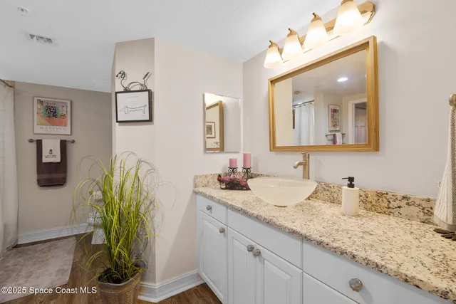 a bathroom with a granite countertop sink a potted plant and a mirror