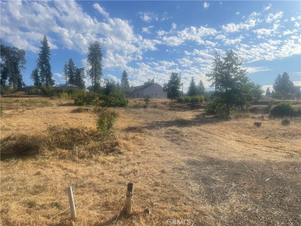 a view of a yard with a tree