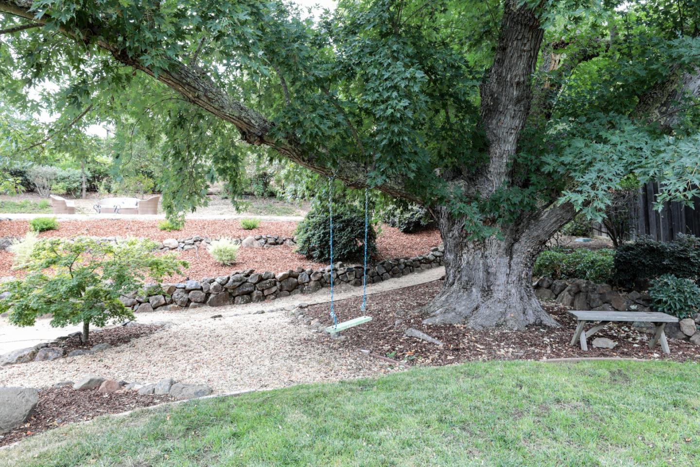 460 Cervantes Road Portola Valley, CA 94028 - Photo 42 of 45 a view of a yard with plants and large trees
