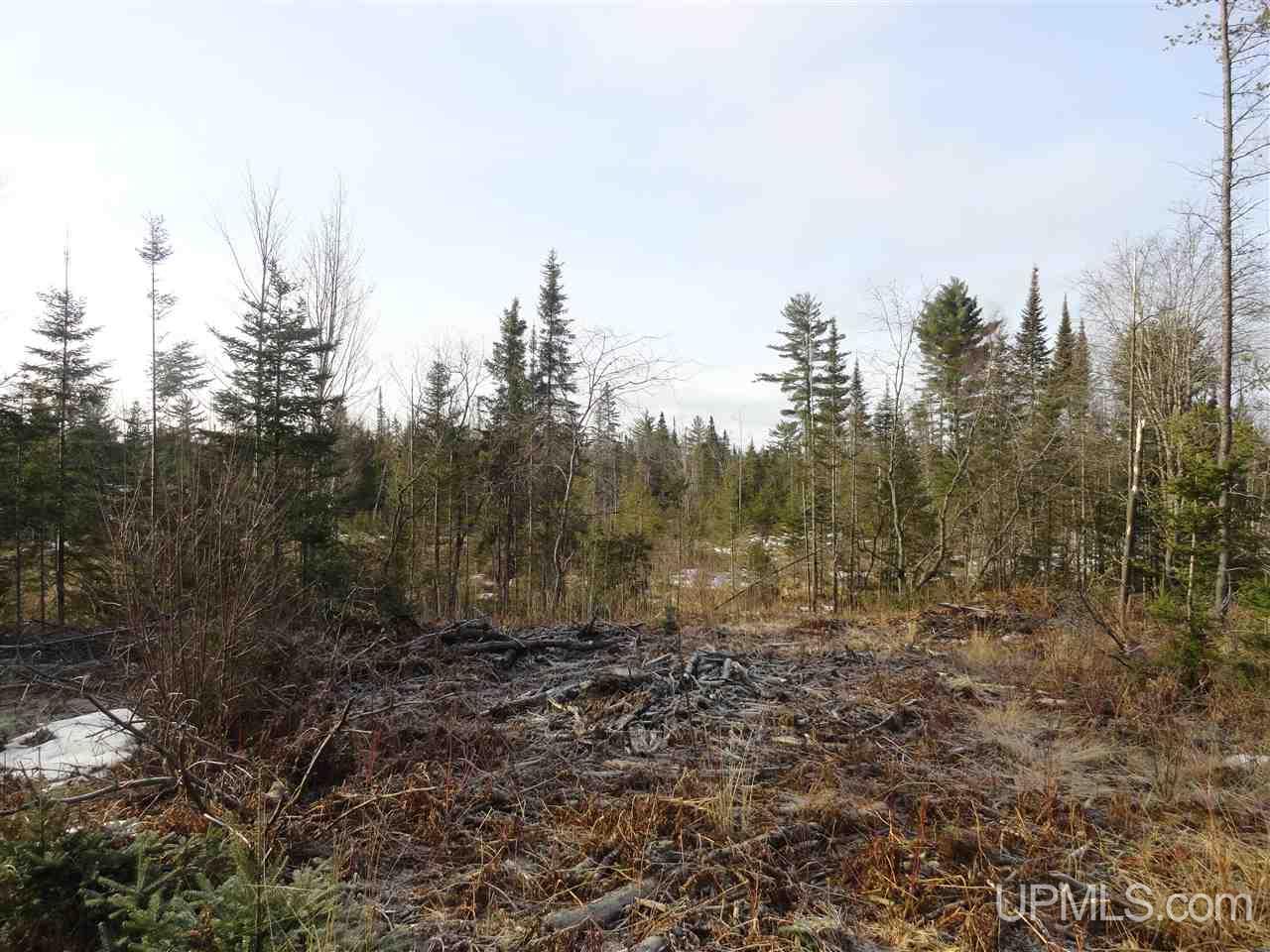 116-acres 116-acres Co Road Negaunee, MI 49866 - Photo 18 of 37