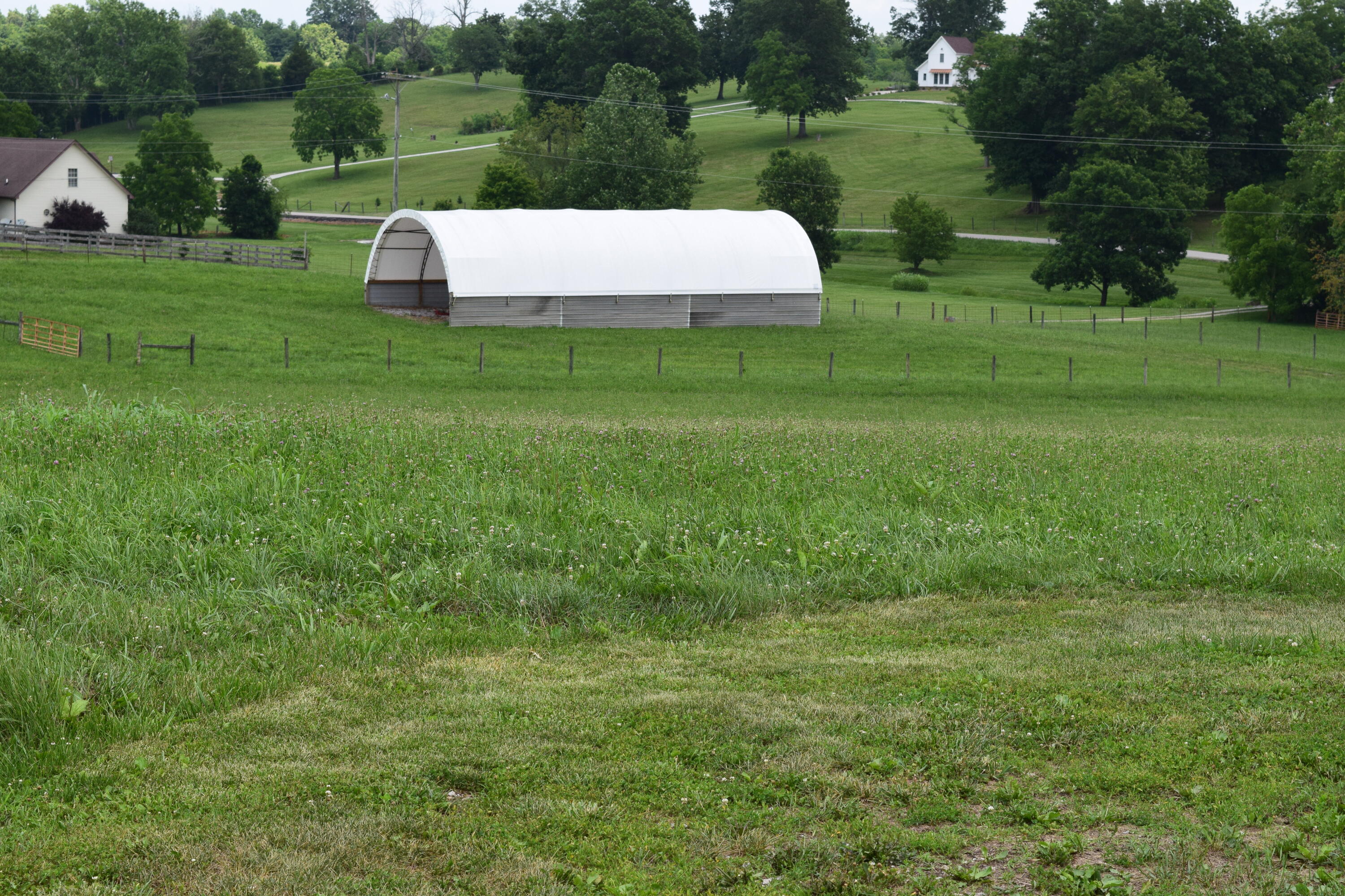 760 Locust Fork Road Stamping Ground, KY 40379 - Photo 35 of 39 DSC_0842