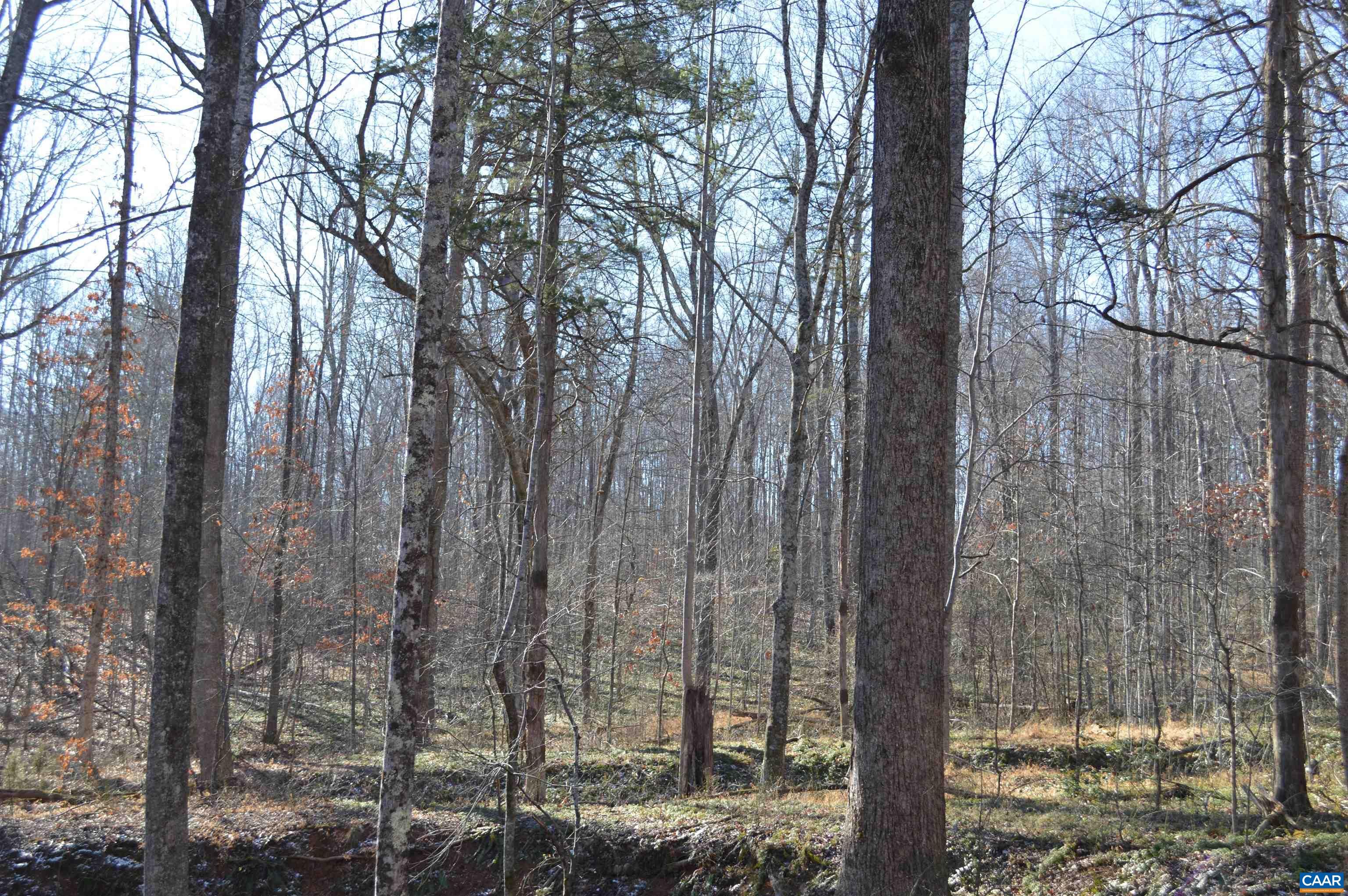 Frays Ridge Earlysville, VA 22936 - Photo 7 of 7 Gallery Image 7