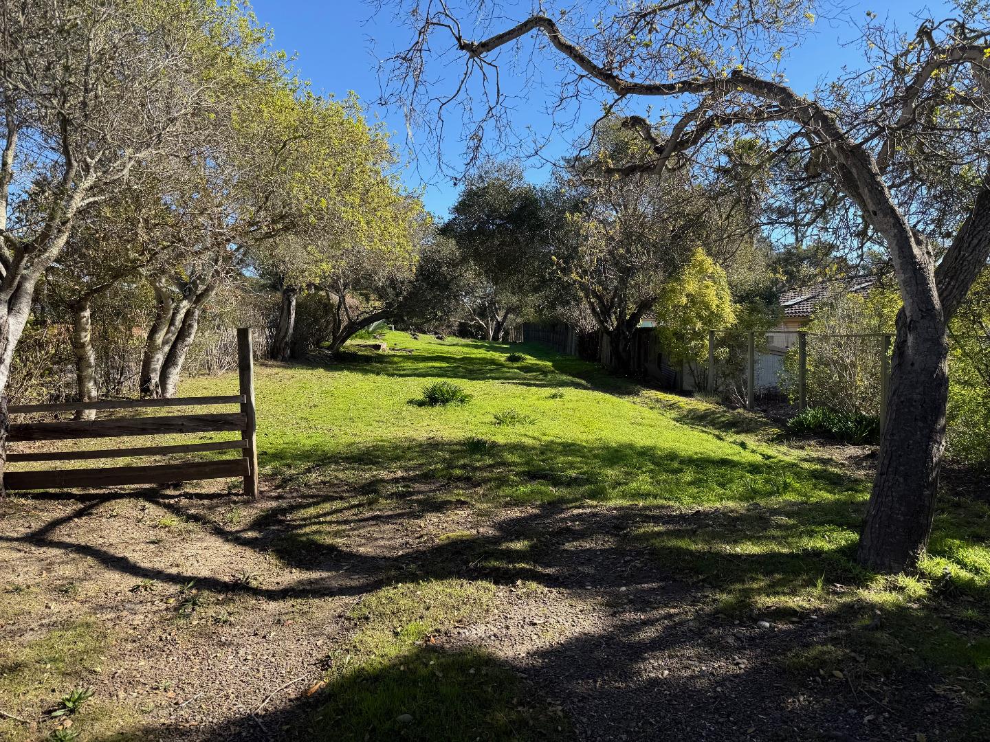a view of a park with large trees