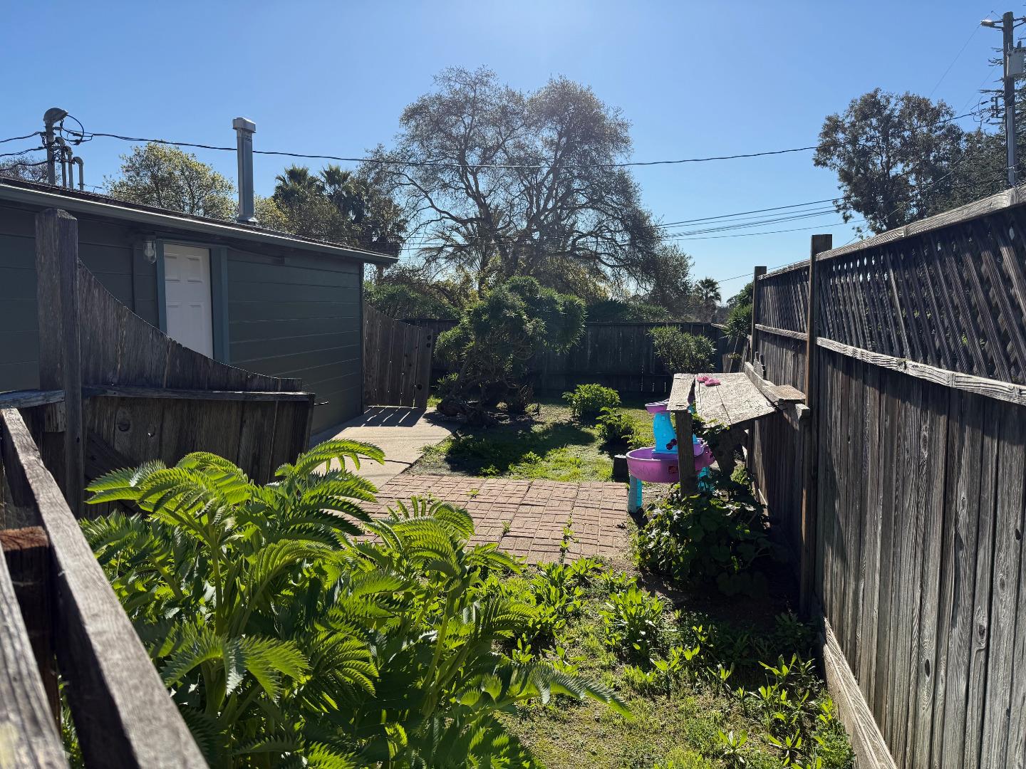3460 Maplethorpe Lane Soquel, CA 95073 - Photo 15 of 15 a view of a backyard with plants