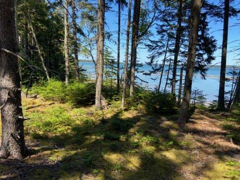 715 Paul Bunyan Road Corea, ME 04624 - Photo 9 of 14 IMG_20250827_163357 (6)