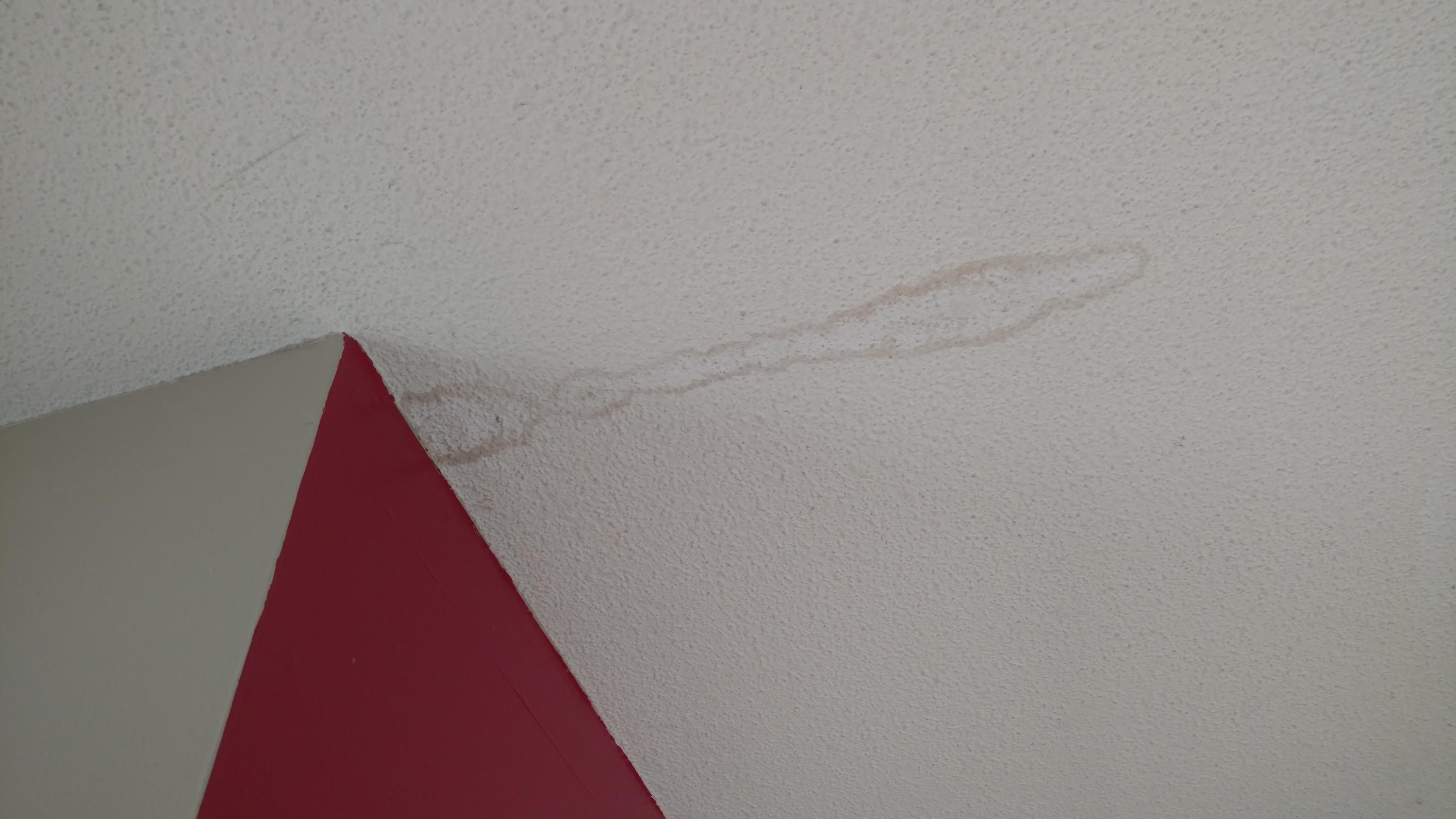 809 Gadd Road Hixson, TN 37343 - Photo 18 of 22 ceiling damage unit 2