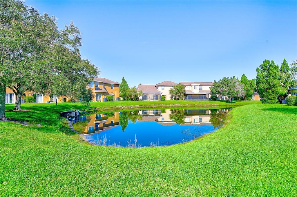 20306 Oak Key Court Tampa, FL 33647 - Photo 39 of 46 a view of a house with a big yard
