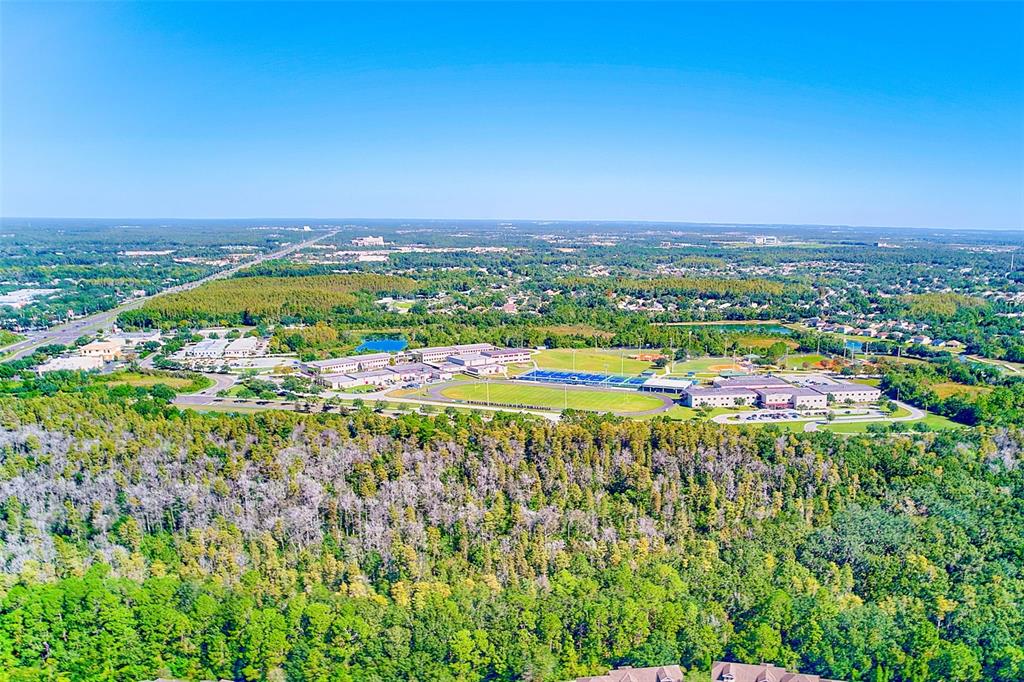 20306 Oak Key Court Tampa, FL 33647 - Photo 44 of 46