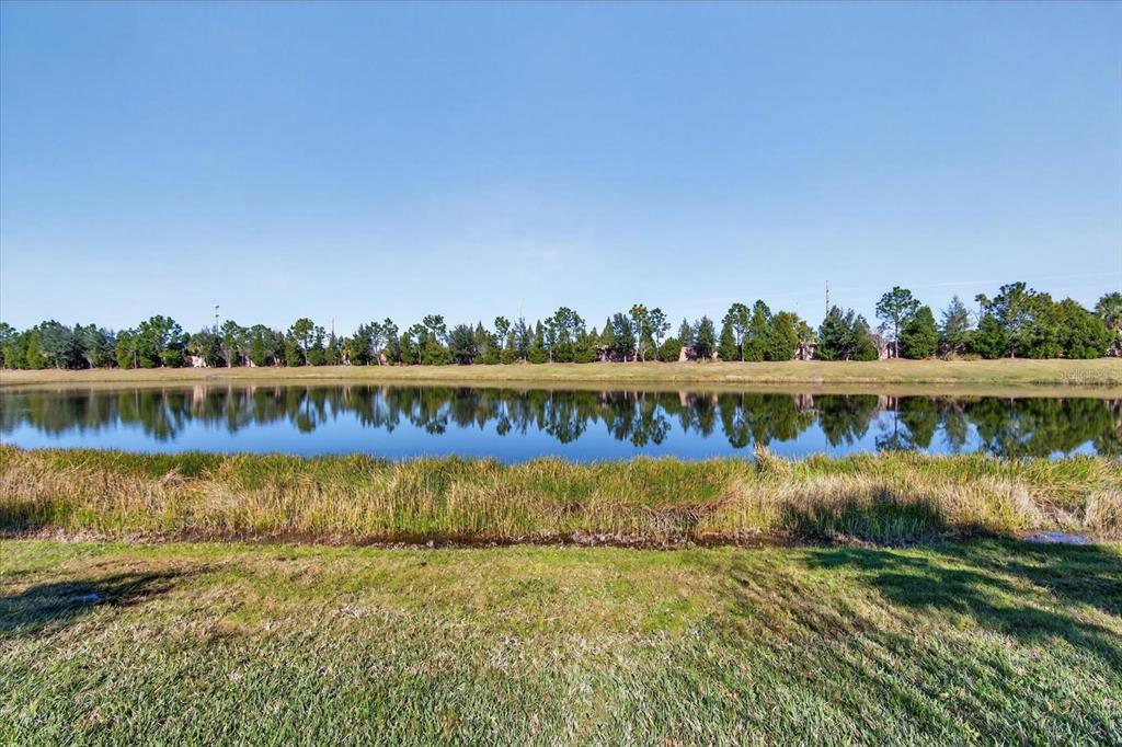 6745 Chester Trail Bradenton, FL 34202 - Photo 48 of 95