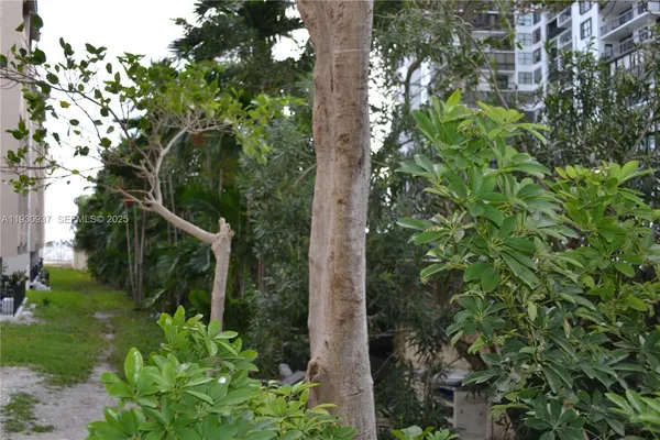 $2,100 | 2201 Brickell Avenue, Unit 8, Miami, FL 33129