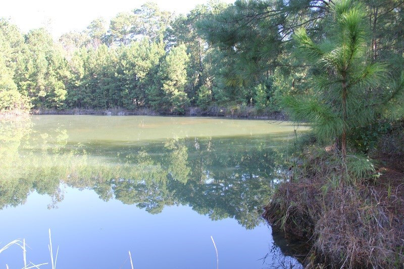 0 Cordova Road Southwest Orangeburg, SC 29115 - Photo 2 of 7 Photo 2