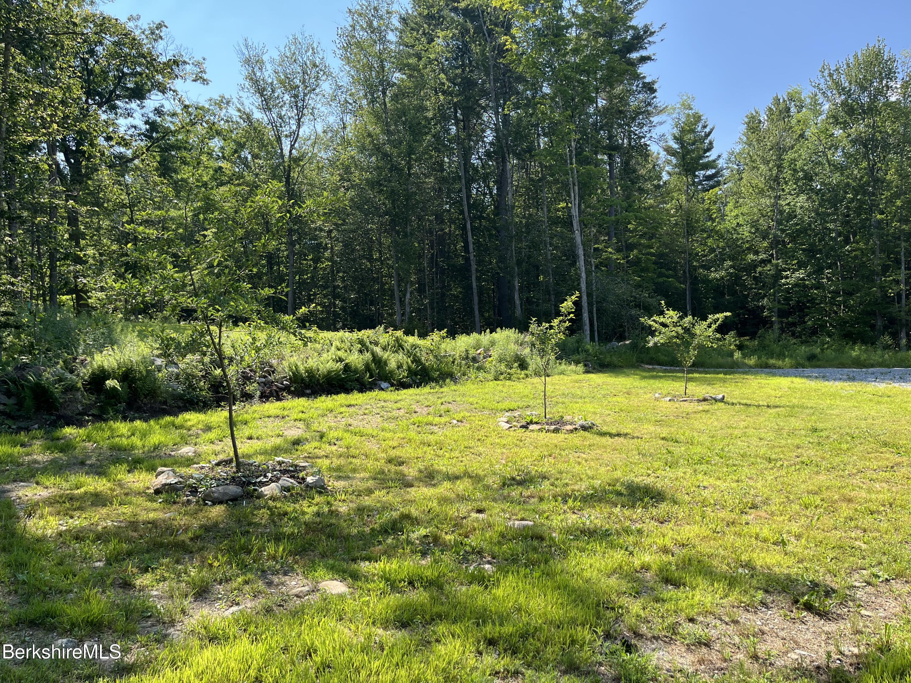 190 Becket Road Otis, MA 01029 - Photo 14 of 43 Fruit trees B
